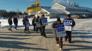 covered-bridge-potato-chips-strike cbc